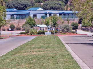 http://www.landscapeonline.com/research/lasn/2009/06/img/Hill/Hill-4.jpg