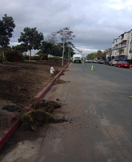 Regatta Median