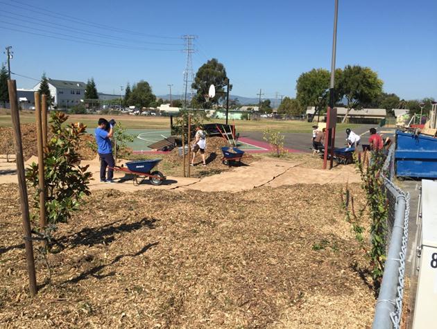 Sheet mulch Parchester Park