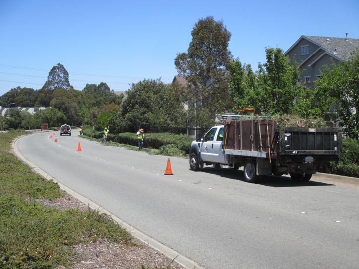 Shrub Trimming on Hilltop Drive