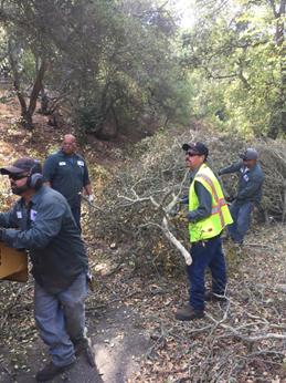 Description: Description: Fire accesss road #6 tree cleanup