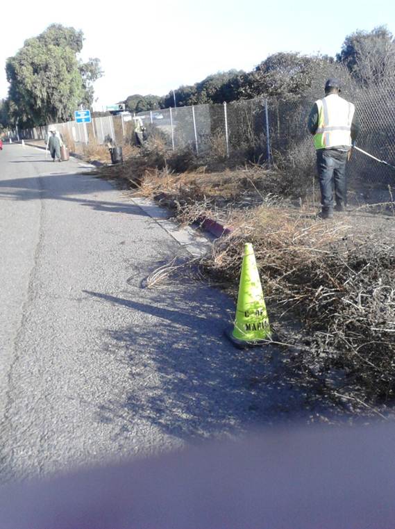 Weed abatement Regatta Blvd