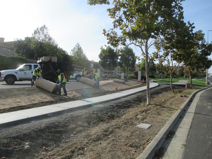 Sheet Mulching Richmond Parkway
