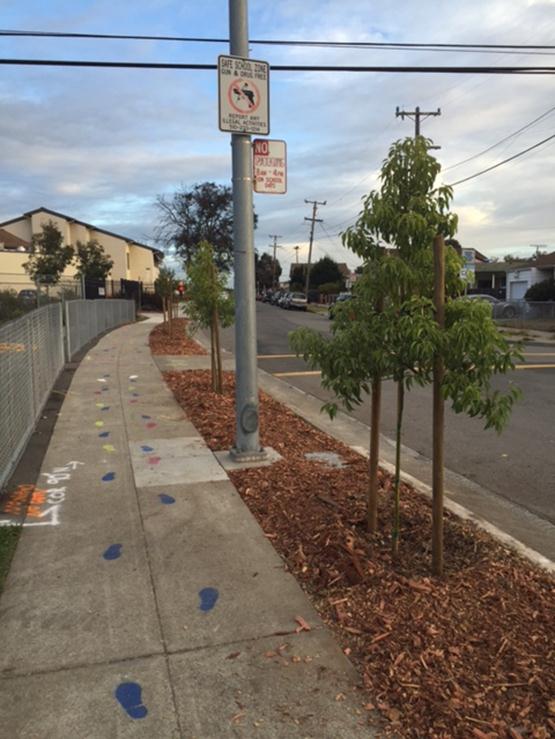 S 41st mulching 01