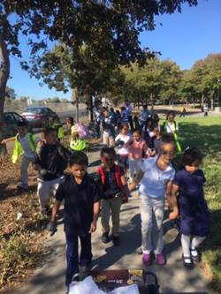 Creek Clean up 3