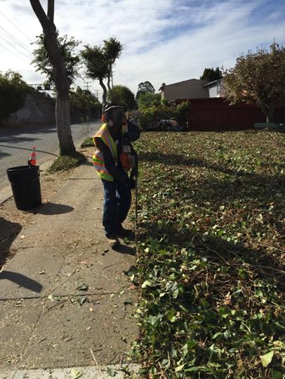 55th & Creely Vegitation Maintenance (GF)