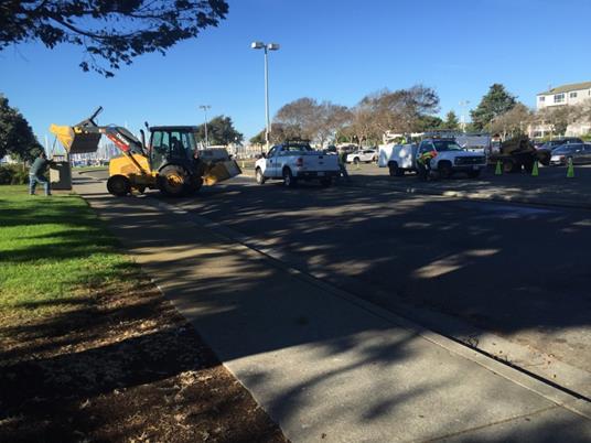 Melville Square Tree Planting Prep (Marina)
