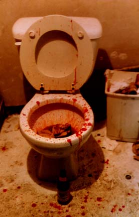 http://www.burntramen.com/Burnt%20Ramen%20%20%20An%20Unsafe%20Place%20for%20All%20Ages_files/bloodytoilet.jpg
