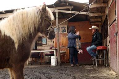 Top: Horse advocate Anne Novak and horse owner Guilleromo Avendano are battling the city to preserve the stable housing 100 horses. Photo: Scott Strazzante, The Chronicle