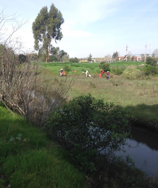 Cleaning of Meeker Slough