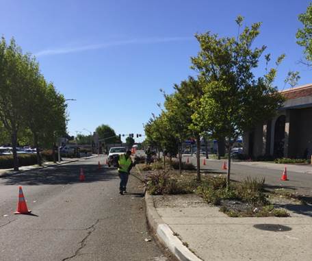 Median on San Pablo Ave