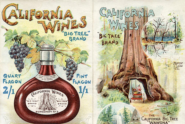 http://images.mentalfloss.com/sites/default/files/styles/article_640x430/public/winesmain_0.jpg