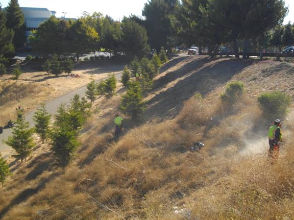 Hilltop Lake Fire Danger Abatement