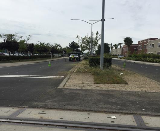 Weed abatement Marina Way