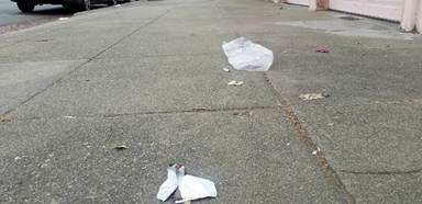 litter.6-22