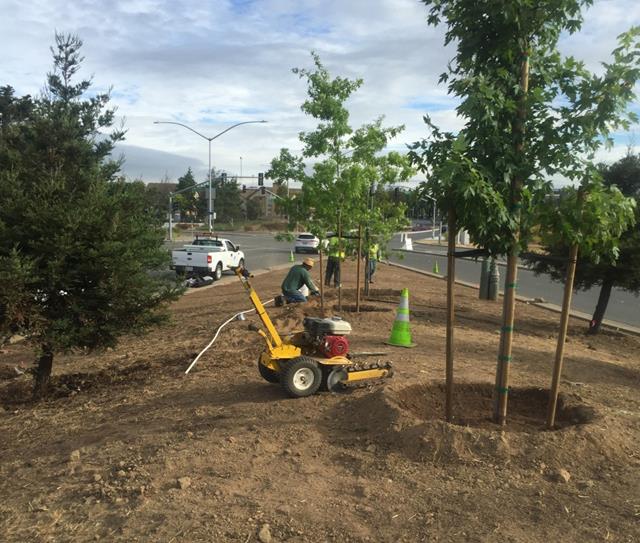 Regatta Median relandscape