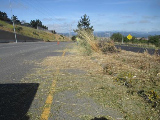 Richmond Parkway Weed Abatement (1)