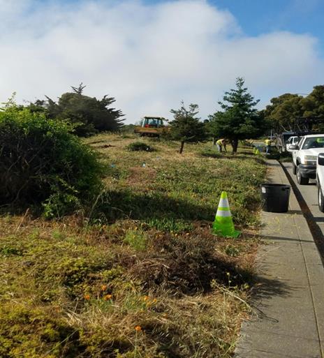 Relandscape of ROW on Regatta and Marina Bay Pkwy