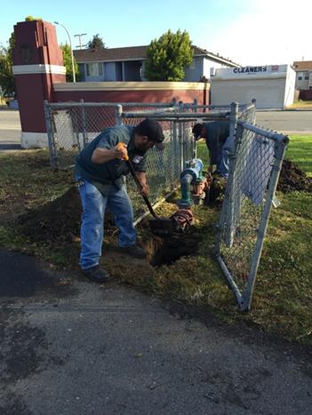 Backflow Replacement Nicholl Park