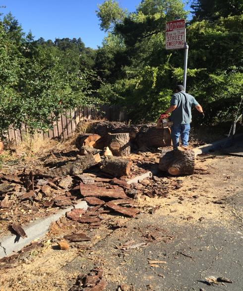 Santa Rita Rd