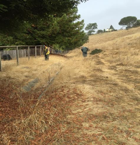 Very High Fire weed abartement (GF)