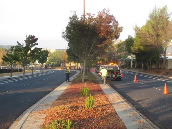 General Maintenance on Blume Drive (Hilltop)