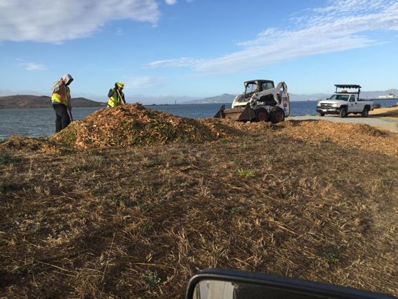 Spreading mulch along trail (Marina)