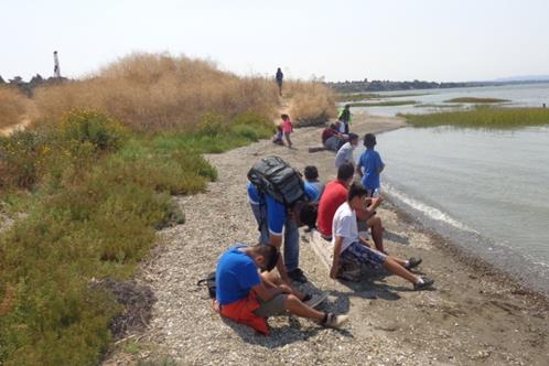 Pinole 3 (2)