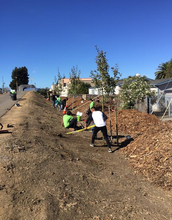 Arbor Day 10