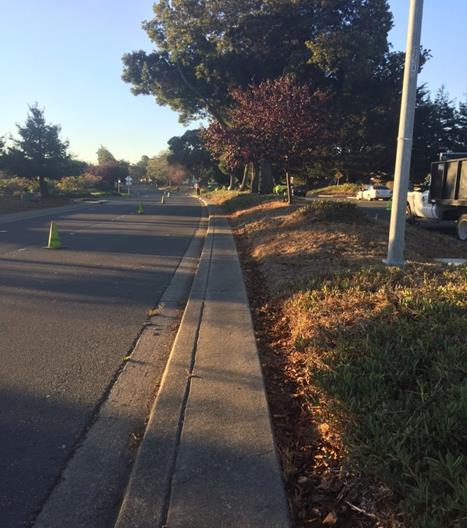 Regatta Median Cleanup[
