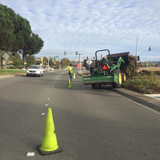 Relandscaping median (Marina)