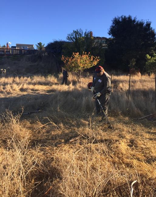 Cutting Fire break near Simoni Court