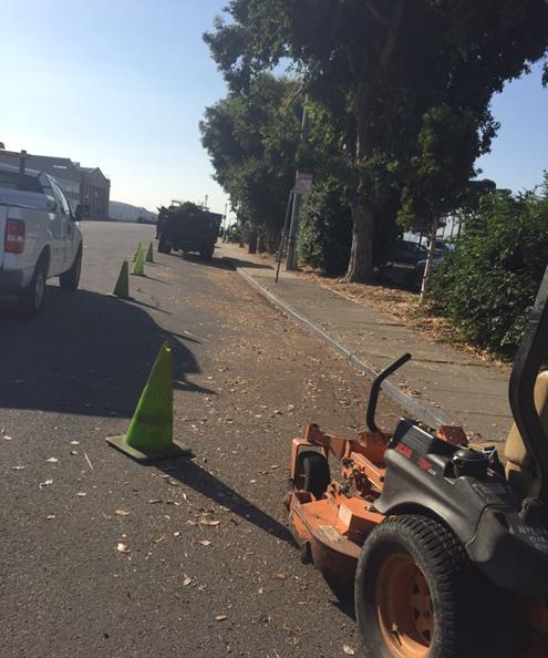 Weed abatement at Harborway & Sheridan Point