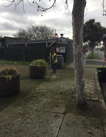 Weed abatement Humphrey Playlot