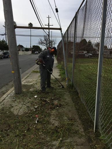 Wendell Park Community Build Preparation