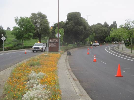 Blume Drive Maintenance 4-11-17