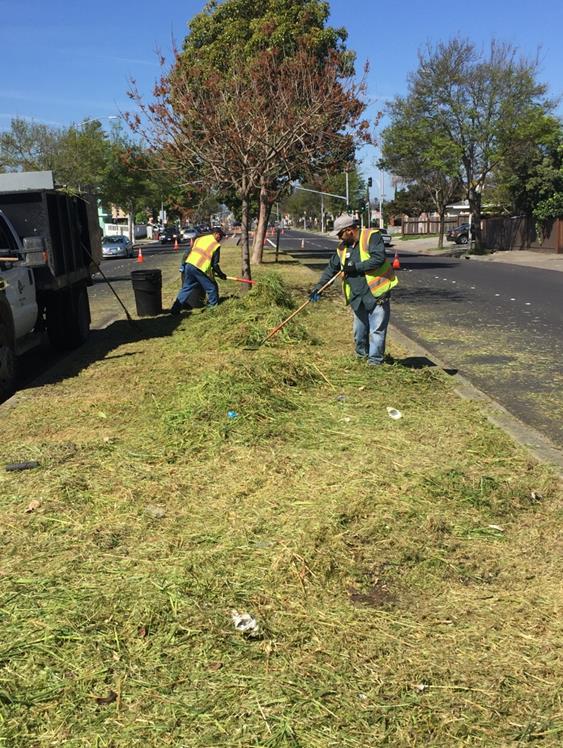 Weed abatement Cutting Blvd