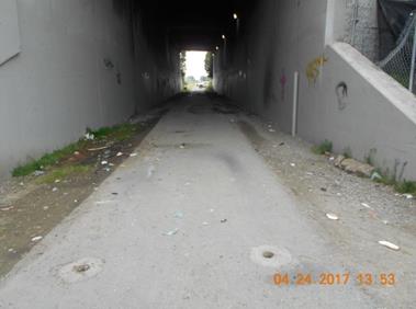 DSCN4431