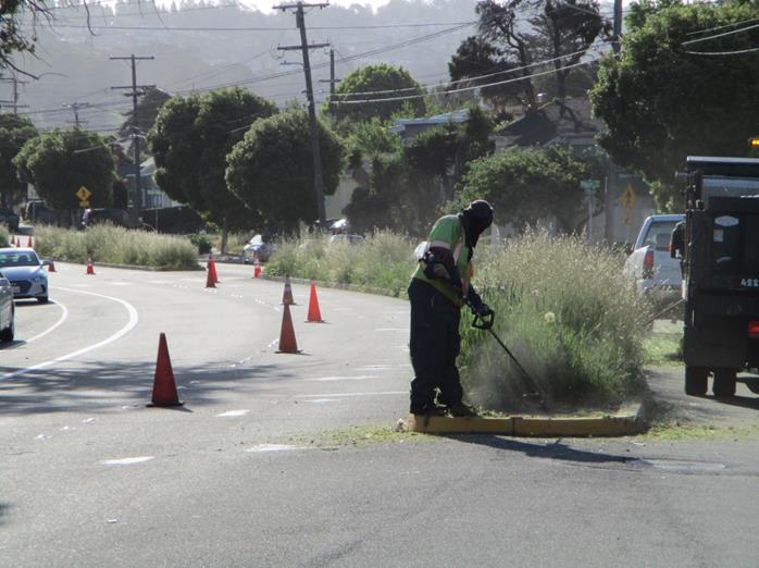Carlson Weed Abatement