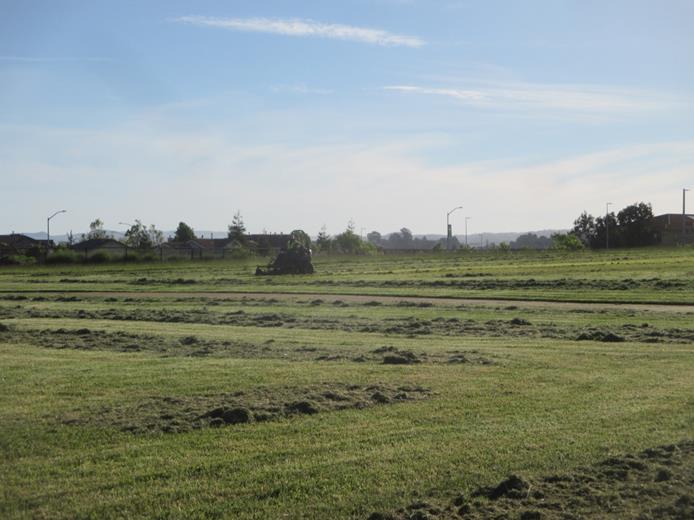 Country Club Vista Park Maintenance