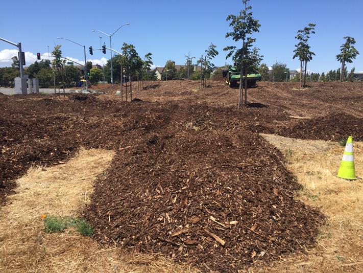 Mulching (Marina)