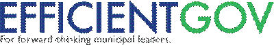 EfficientGov