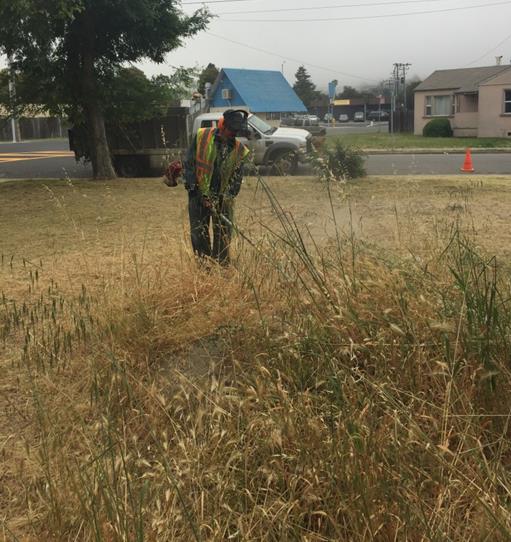 Weed abatement Clinton Playlot