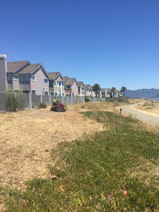 Weed abatement Marina Trail