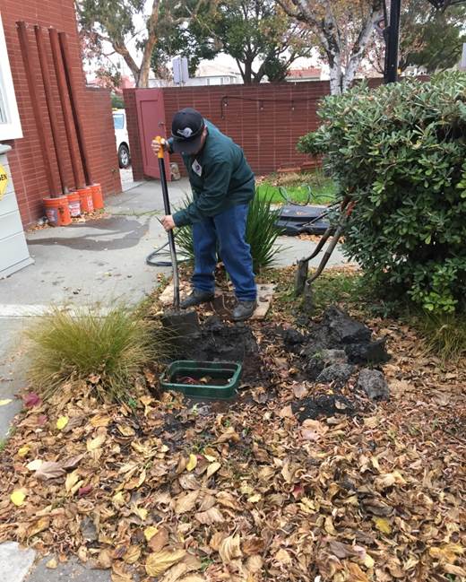 Irrigation repair at Art center
