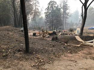 Camp Fire 2