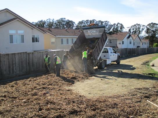 Mulch install CCV & BVP