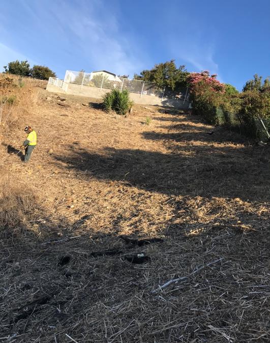 Very High Fire Weed Abatement