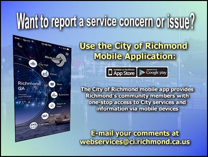 Description: Description: COR Connect Service Concern and Issues 4