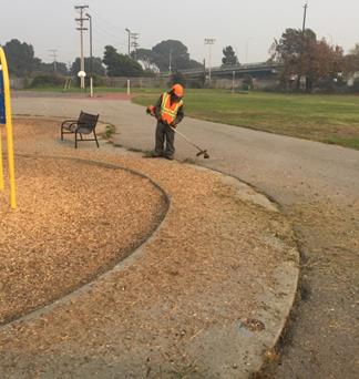 Lucas Park weed abatement